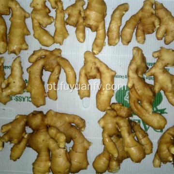 Atacado Premium Grade Organic Fresh Ginger